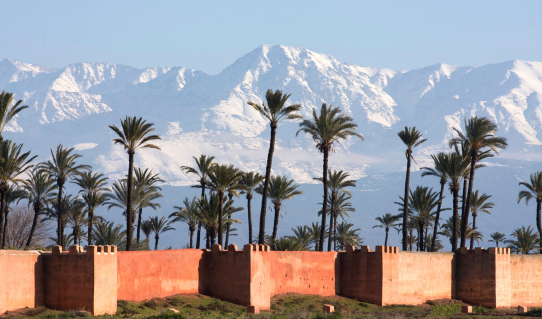 Marrakech Ramparts framed by a snowy palm trees backdrop