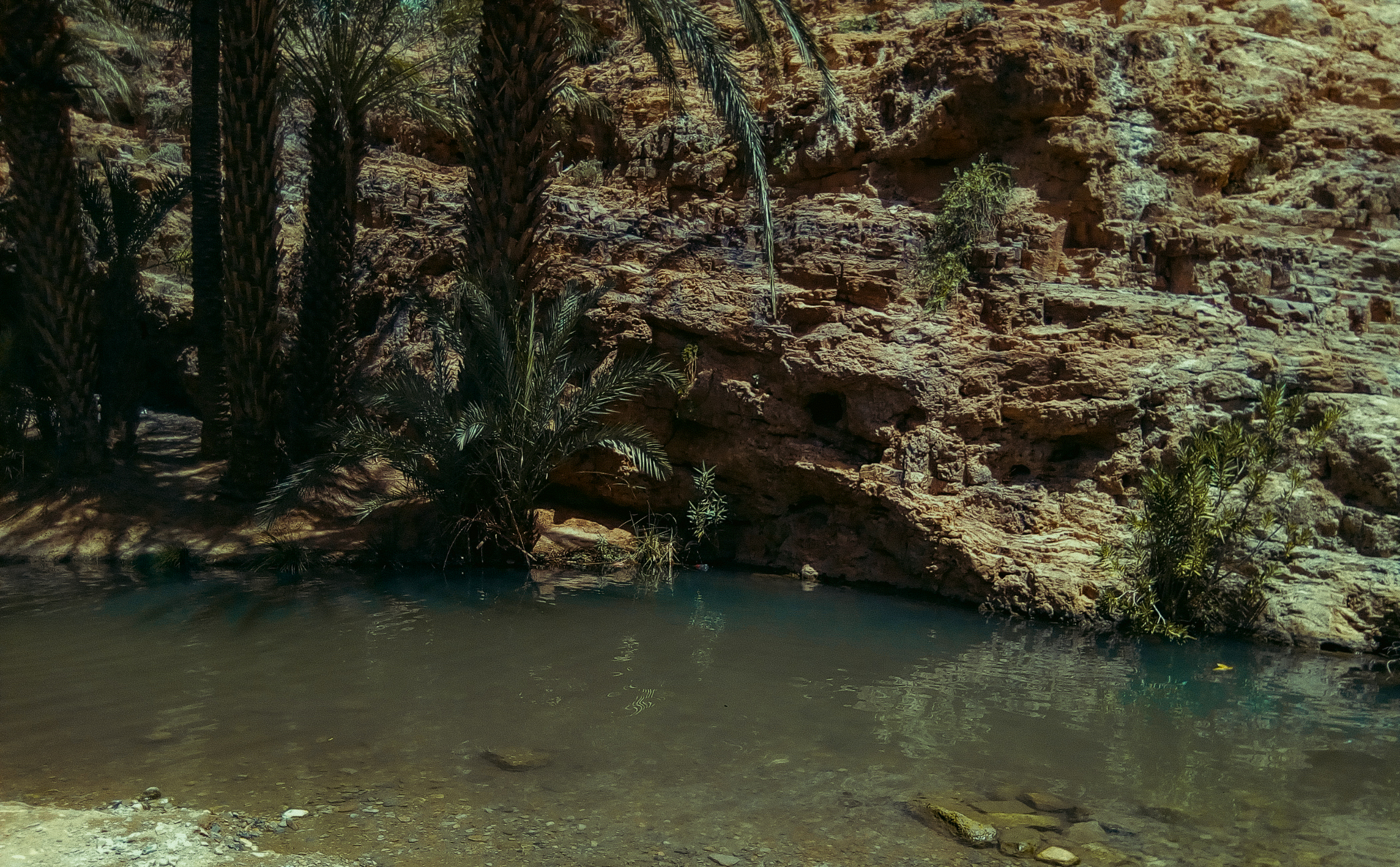 Tafraoute