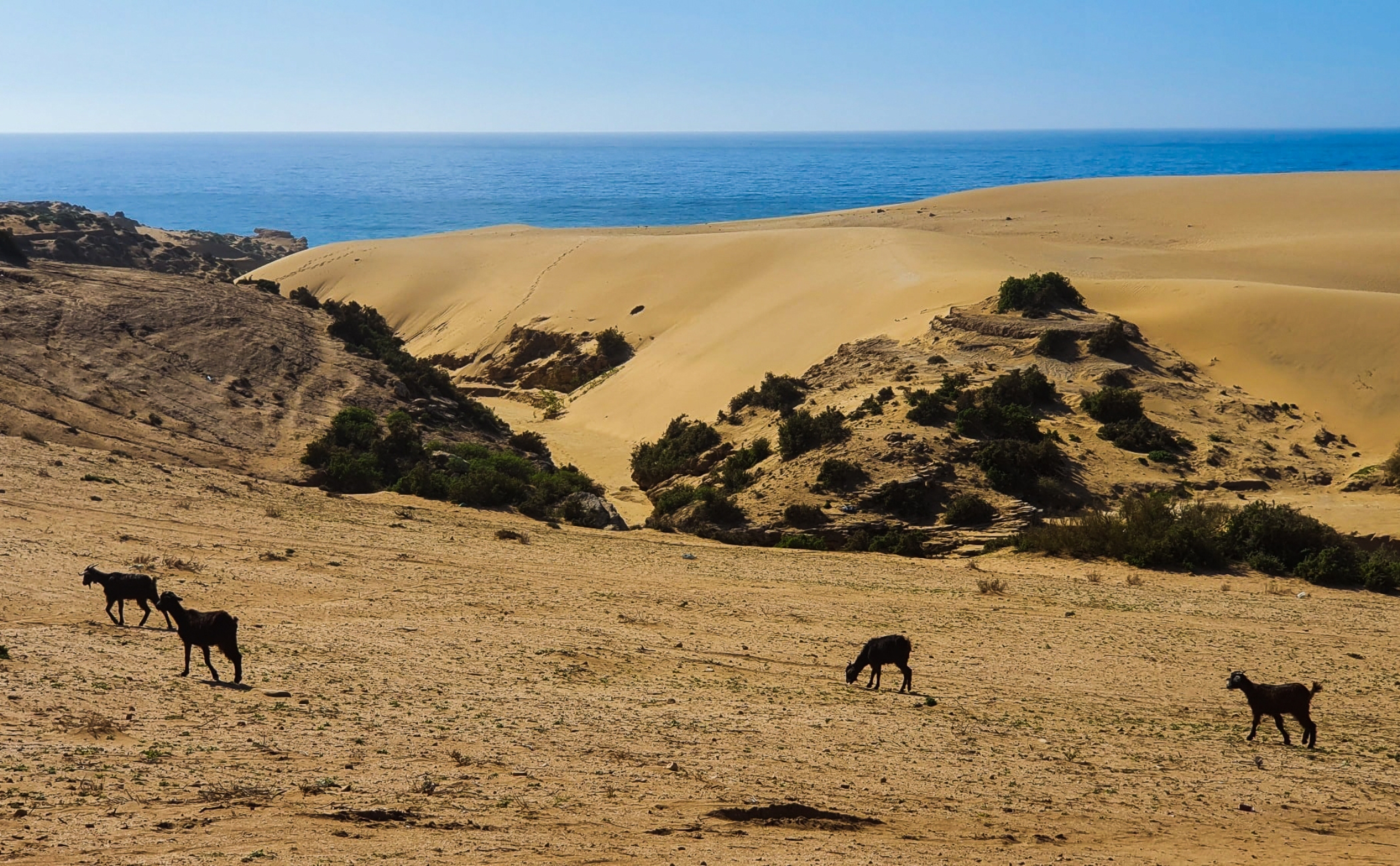 Agadir