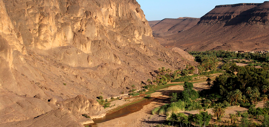 Oasis of Fint