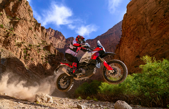 ducati world première 2024 | desertx | race wilder